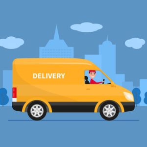 Extra Delivery Wheeled bag